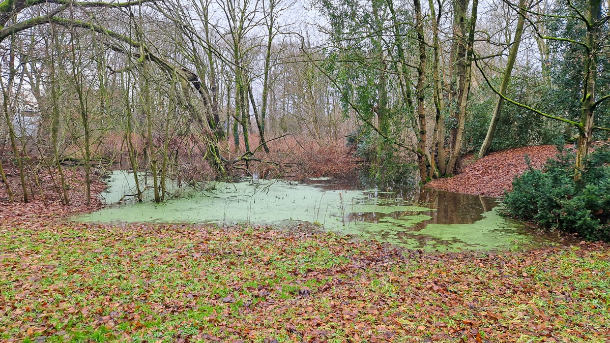 Kleiner Teich im Park