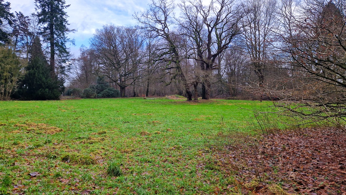 Grüne Wiese im Friedehorstpark