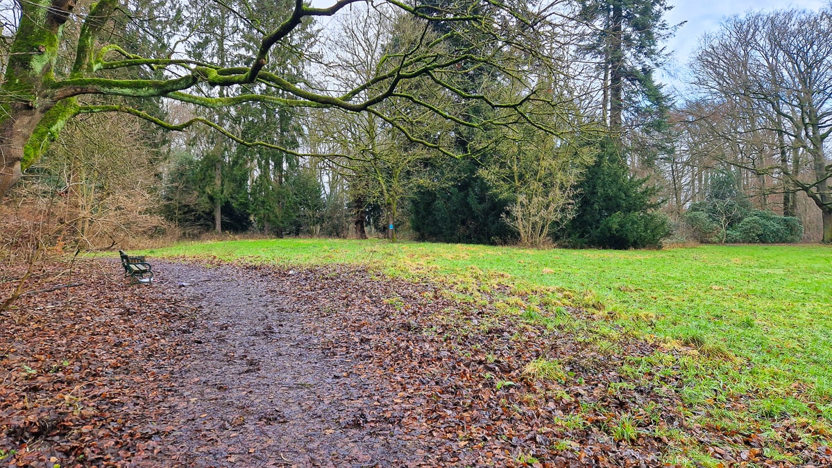 Parkbank mit Gipfelblick