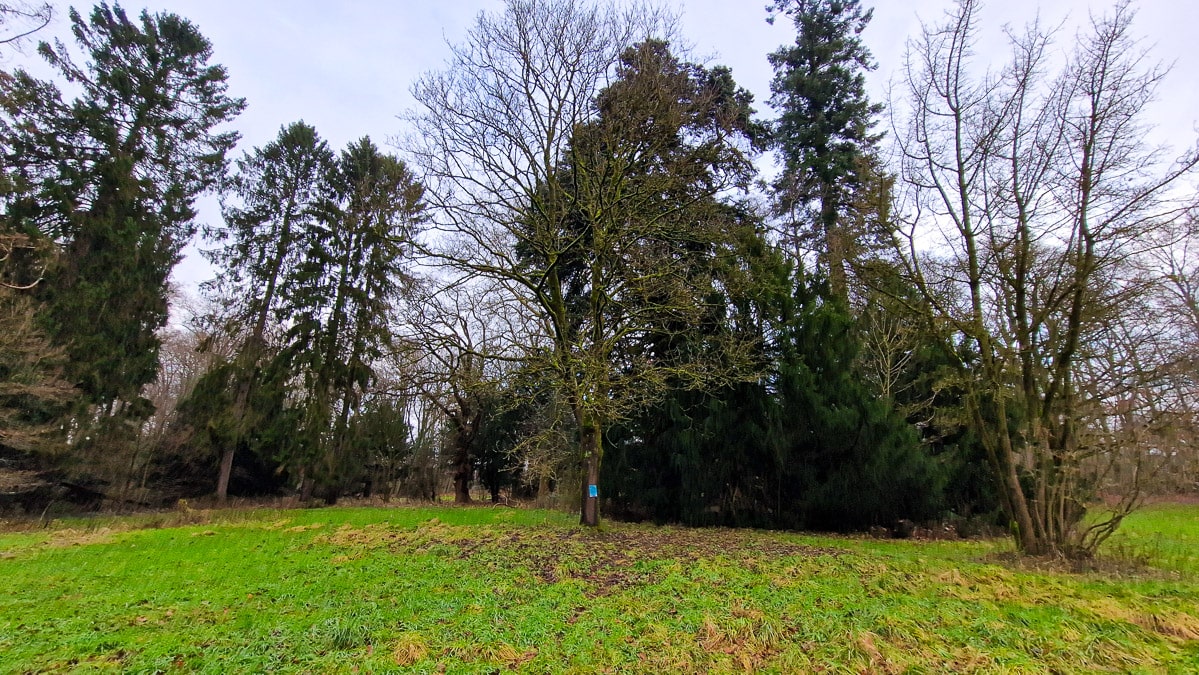 Friedehorstpark - Bremens höchster Berg