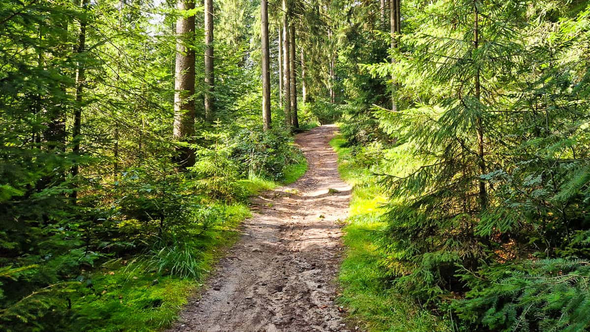 Wanderungen auf die höchsten Berge von jedem Bundesland